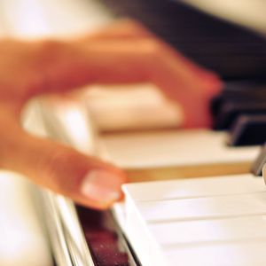 高圆圆是馒头逼吗
