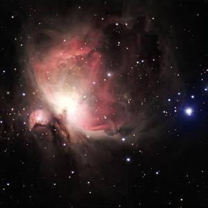 高圆圆是馒头逼吗
