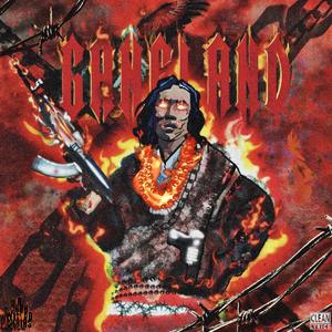 高圆圆是馒头逼吗
