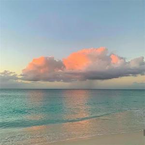 高圆圆是馒头逼吗
