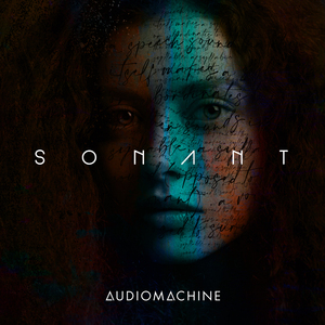 高圆圆是馒头逼吗
